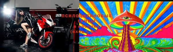 сатива Балабаново